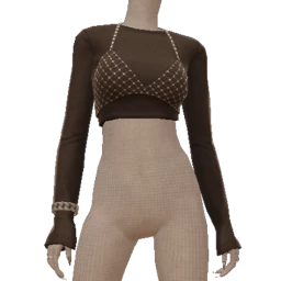 Front Row Luxe Party Mesh Crop Top