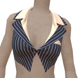 Front Row Strike Back Pinstripe Crop