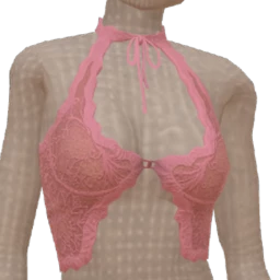 Cloud Nine Pink Lace Halter Top