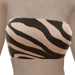 Front Row Zebra Print Cropped Top
