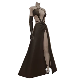 Ikon Sheer Piece Dress