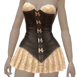 Ikon Elite Lace And Leather Corset Outfit