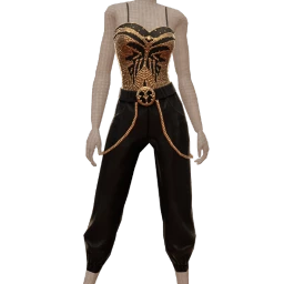 Ikon Elite Black Leather Gold Crystal Outfit