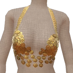 Ikon Elite Gold Coin Crop Top