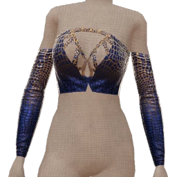 Ikon Elite Blue And Gold Leather Top