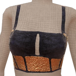 Ikon Elite Blue Velvet Glitter Top