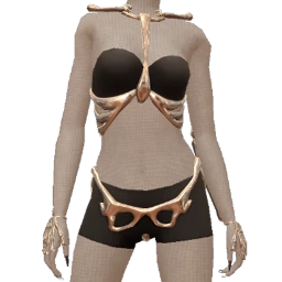 Ikon Elite Silver Bone Bound Outfit