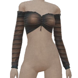 Ikon Black Sheer Chiffon Cropped Top