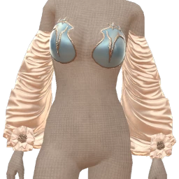 Ikon Smooth Silk Sleeved Crop Top