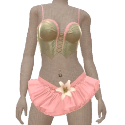 Ikon Satin And Cotton Corset Outfit