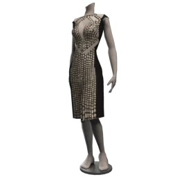 Ikon Arresting Dress