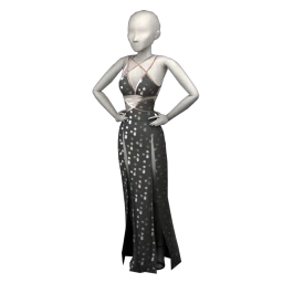 Ikon Embellished Reformation Dress