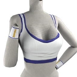 Ikon Elite Ace Serve Crop Top