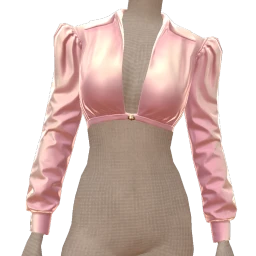 La Haute Couture Blush Satin Cropped Blouse