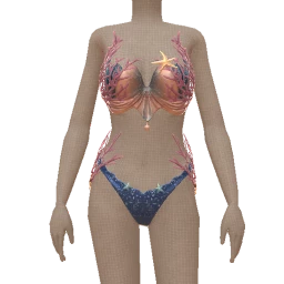 Mahiki Coral Reef Swimwear