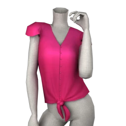 Naked Zebra Ayleen Tie Blouse