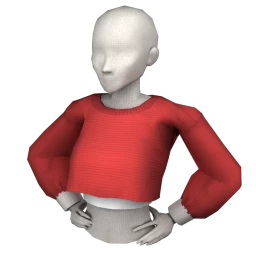 USAesthetic Collegiate Crop Jumper