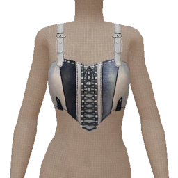 Prevail Panelled Denim Crop Top