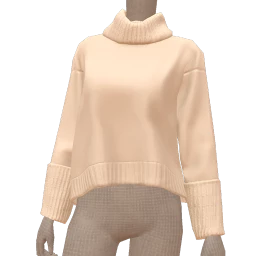 Scoop Chunky Turtleneck Sweater