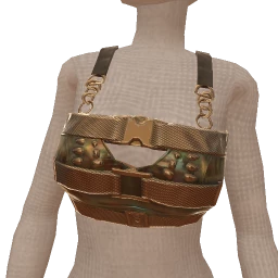 Drop Science Shay Metallic Belted Crop Top