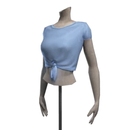 Drey Cropped Front Tie Tee