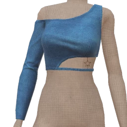 USAesthetics Denim Asymmetric Star Top
