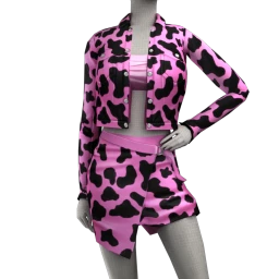 USAesthetics Rose Leopard Outfit