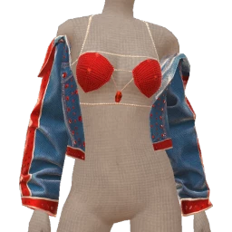 USAesthetics Red And Blue Bomber Jacket