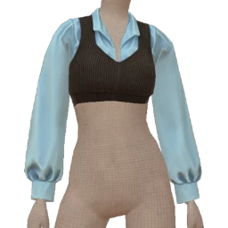 USAesthetics Cropped Blue Shirt & Sweater