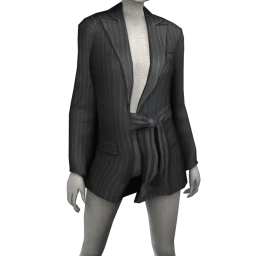 USAesthetic Global Blazer