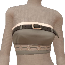 USAesthetics Chrome Charm Crop Top