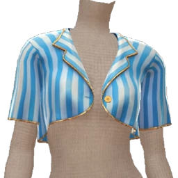 USAesthetics Blue Horizon Crop Blouse