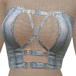 USAesthetics Silver Buckles Denim Crop