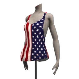 Stars and Stripes Vest