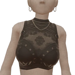 Yume Charm Lace Cropped Top