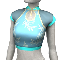 Yume Mizumi Crop Top