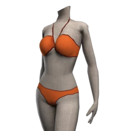 Nyami Bikini - Outline - Orange