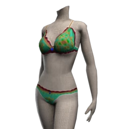 Kalila's Bikini