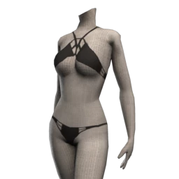 Secrets High Wrap Bra Set