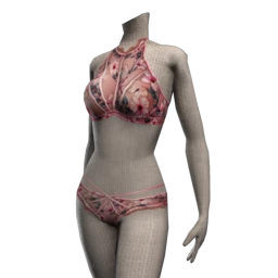 Palermo Floral Chorus Lingerie Set