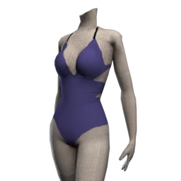 Belisama Cutout Swimsuit