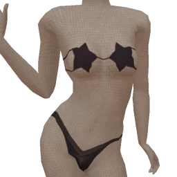 Cosmos Dark Sky Festival Star Bra