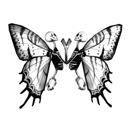 Cosmos God Of Creation Wings