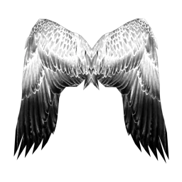 Cosmos Made To Worship Wings