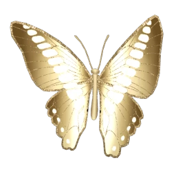 Cosmos Fairy Friend Wings (Gold)