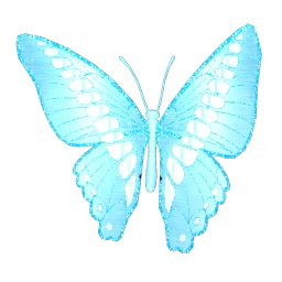 Cosmos Cloudless Flight Wings