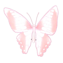 Cosmos Fairy Friend Wings (Pink)