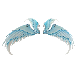 Cosmos Sky Watcher Wings