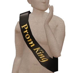 Cosmos Prom King Sash
