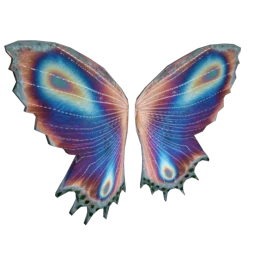 Cosmos Iridescent Morpho Butterfly Wings